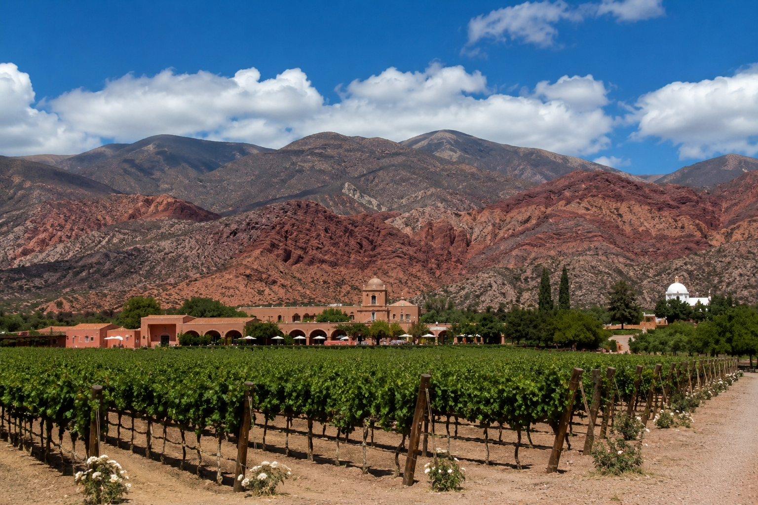 Cafayate y la ruta del vino